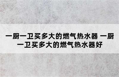 一厨一卫买多大的燃气热水器 一厨一卫买多大的燃气热水器好